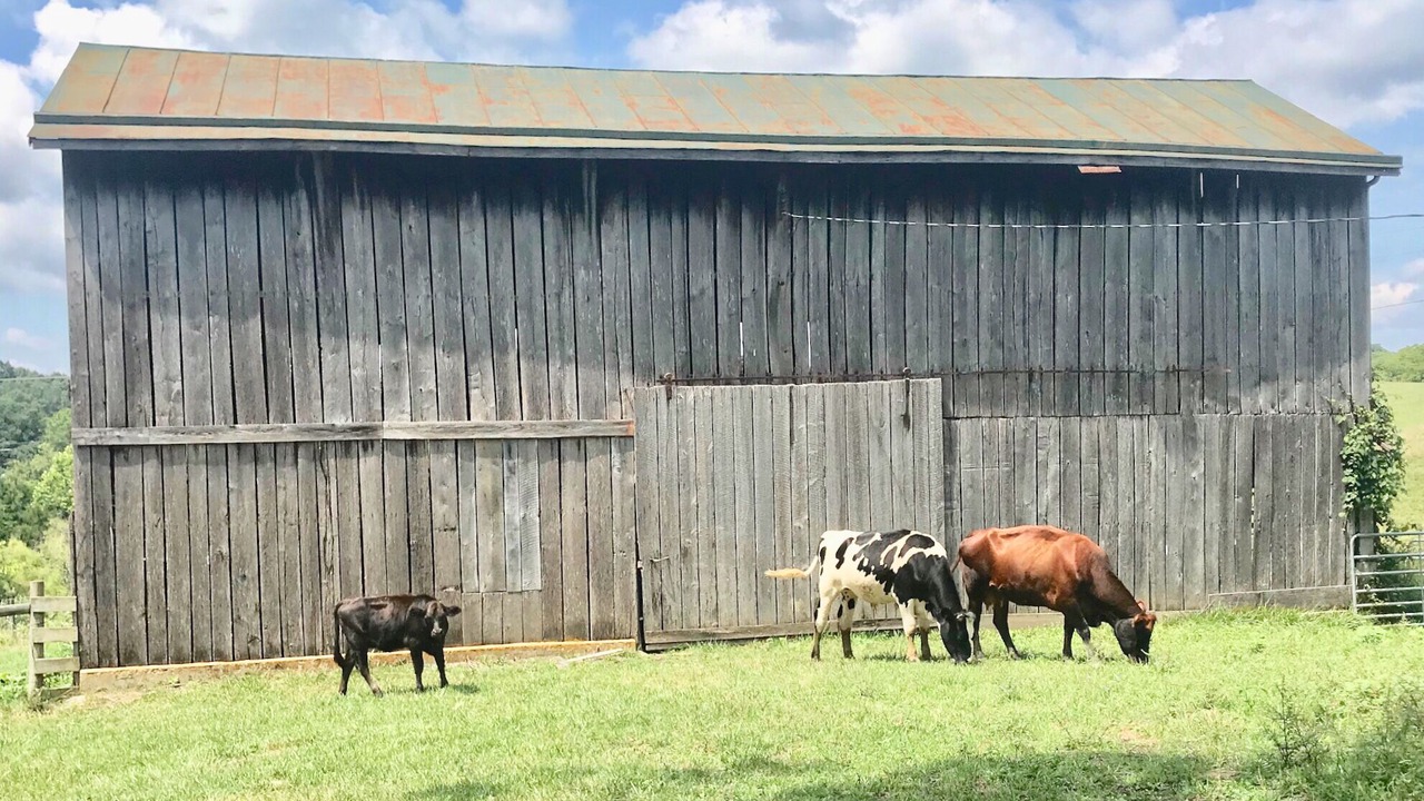 Photo of Others in Lexington
