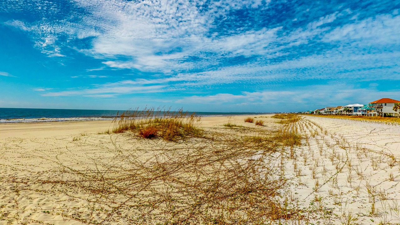Photo of Others in Port St. Joe