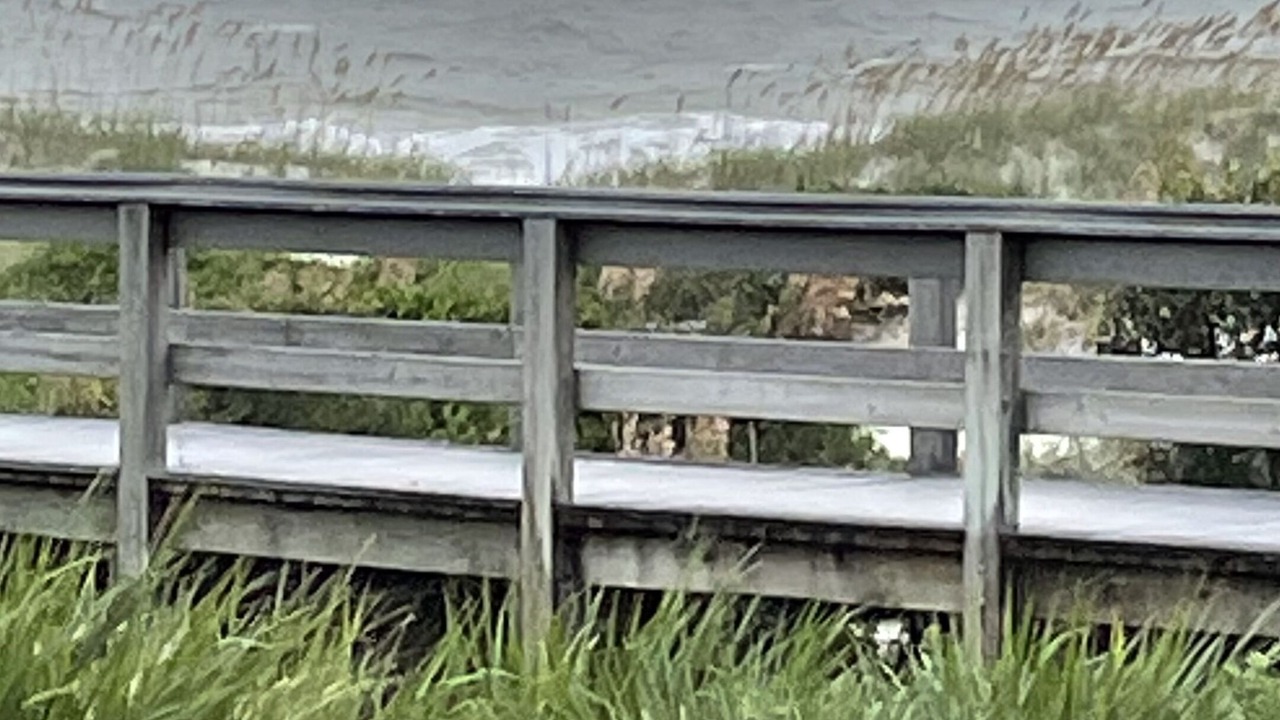 Photo of Others in Amelia City