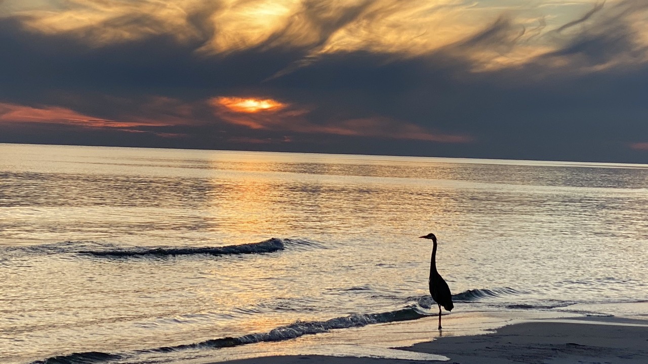 Photo of Others in Grayton Beach