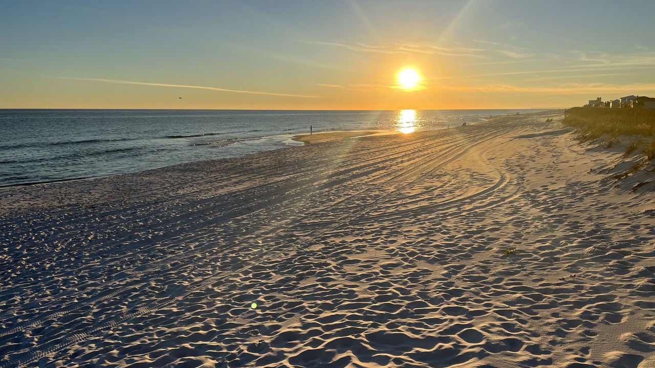 Photo of Others in Pensacola Beach