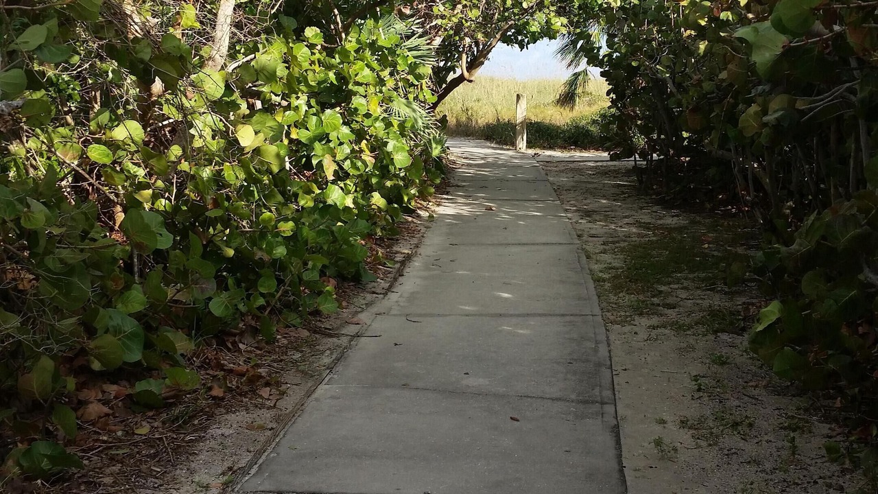 Photo of Others in Port Canaveral