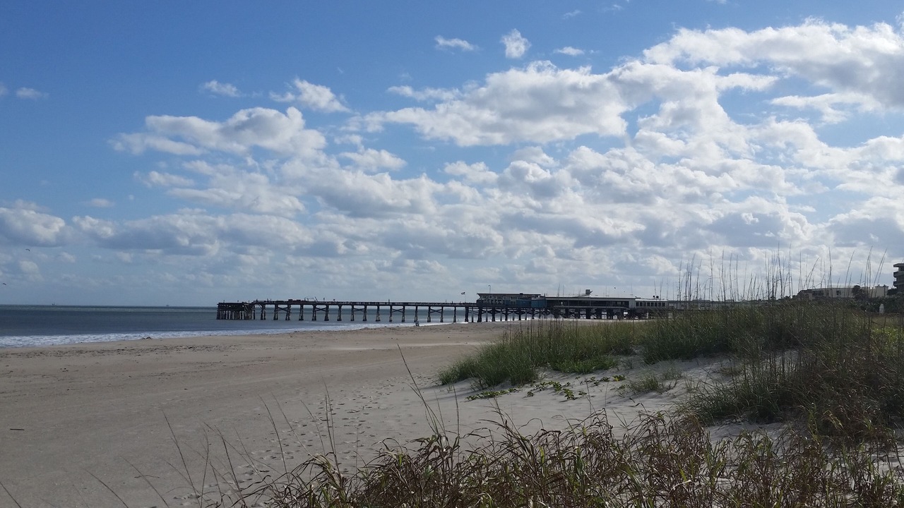 Photo of Others in Port Canaveral