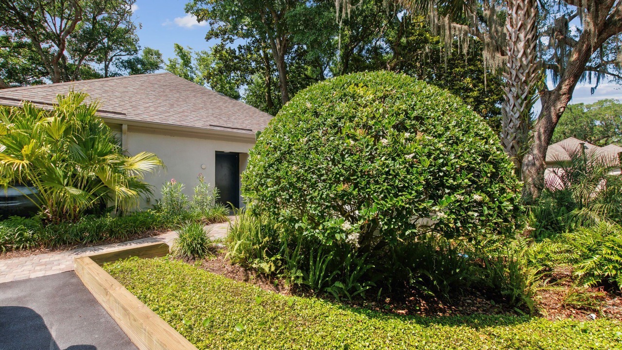 Photo of Outdoor in Fernandina Beach