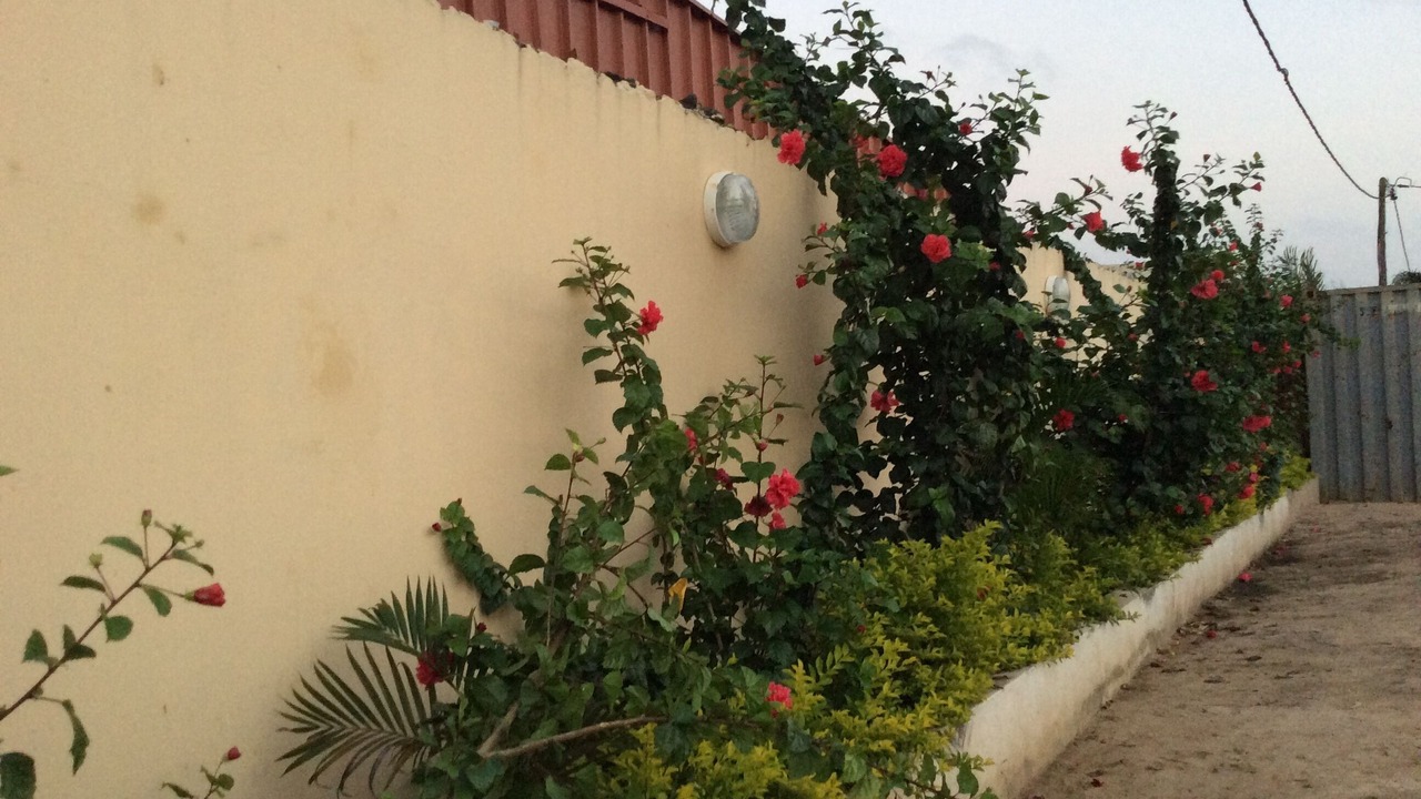 Photo of Outdoor in Pointe-Noire