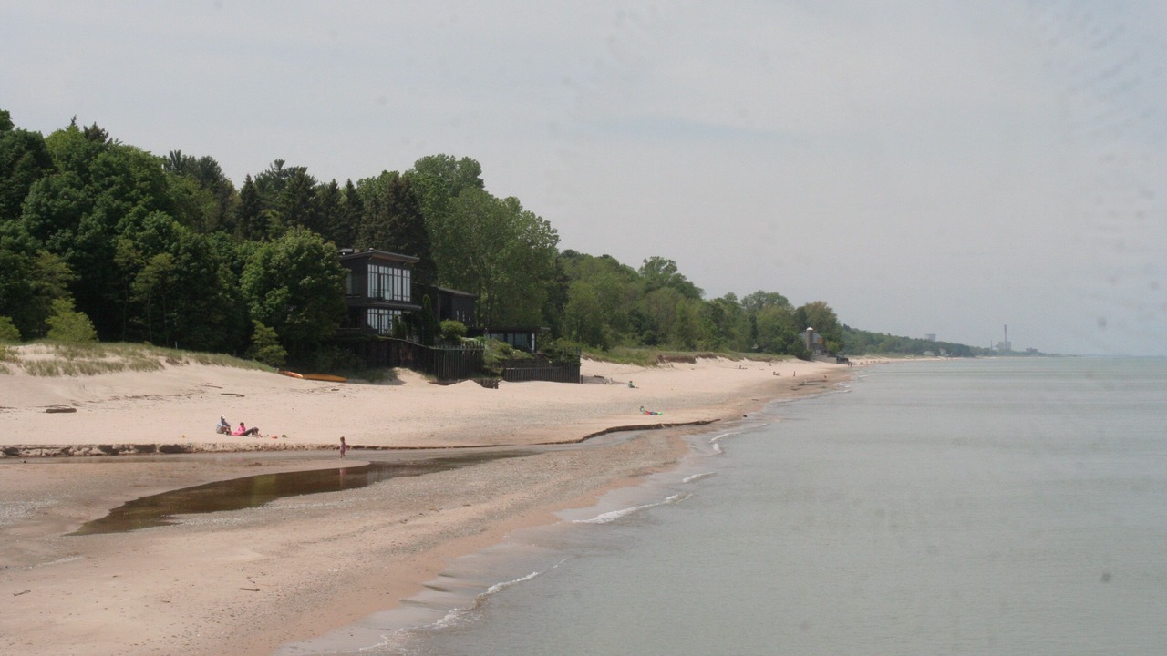 Photo of Others in New Buffalo
