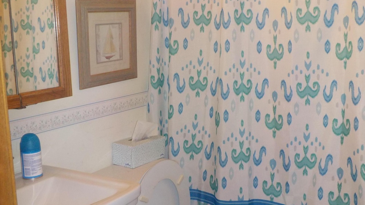 Photo of Bathroom in New Buffalo