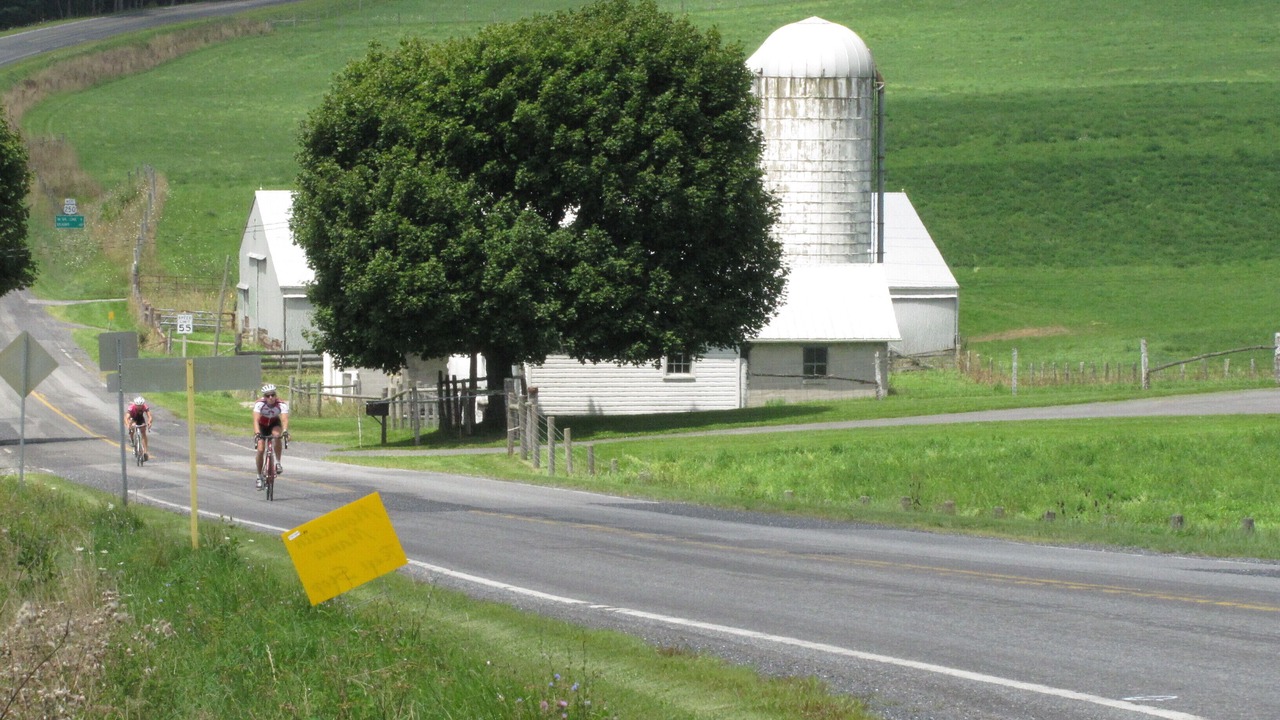 Photo of Others in Harper