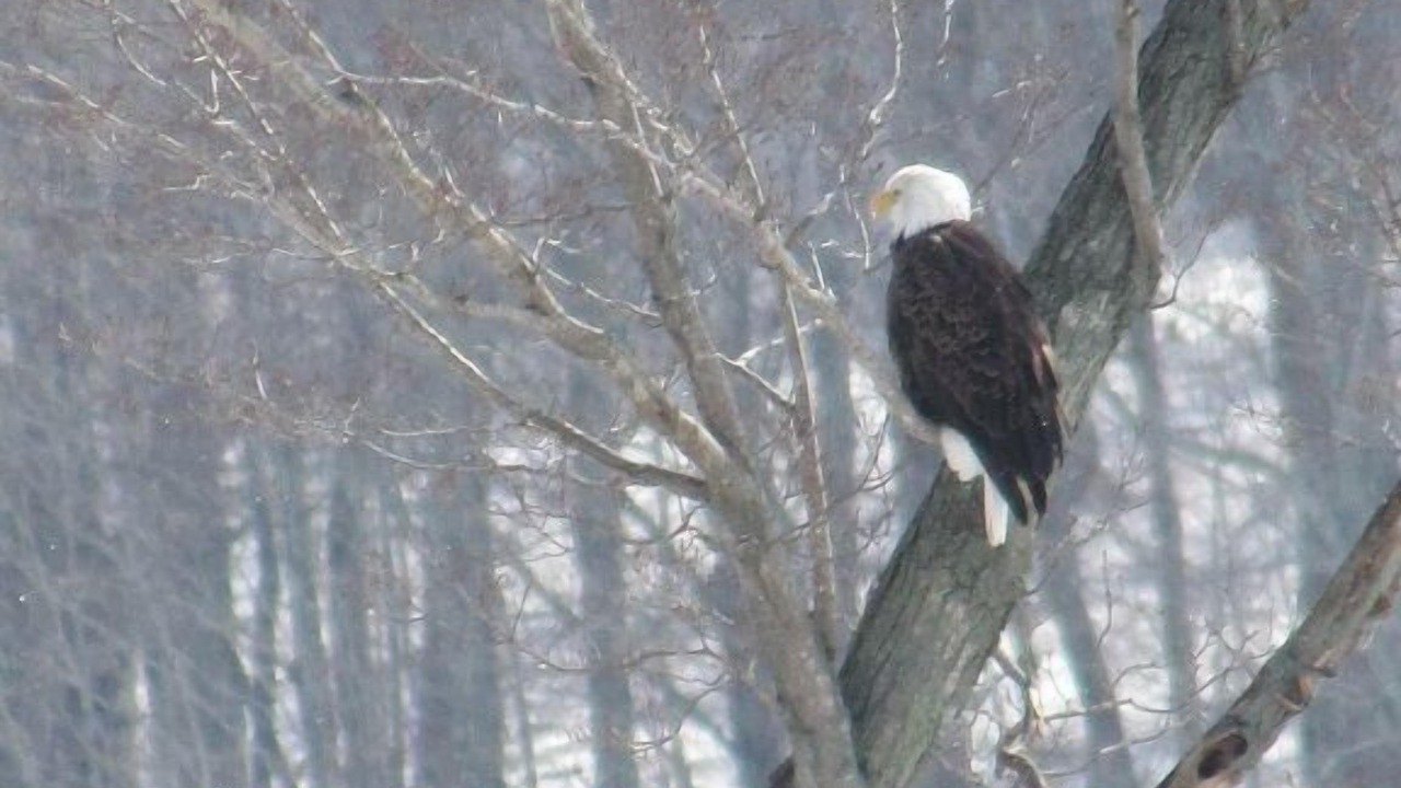 Photo of Others in Harper