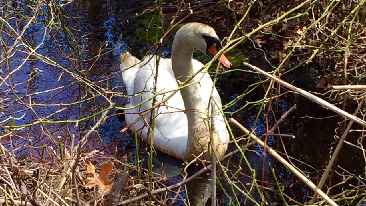 Photo of Outdoor in Bass River