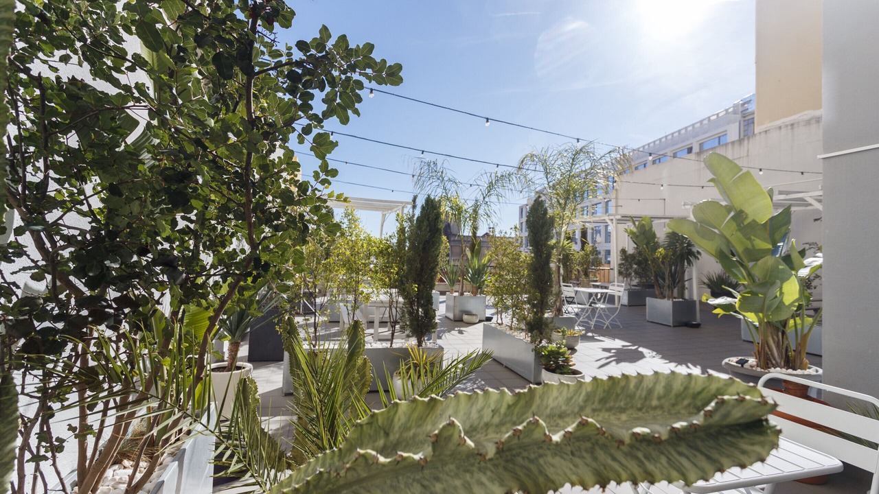 Photo of Outdoor in Santo Antonio