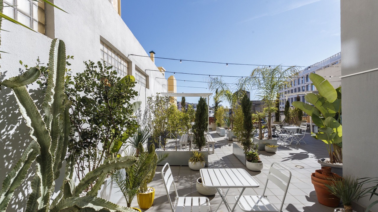 Photo of Outdoor in Santo Antonio