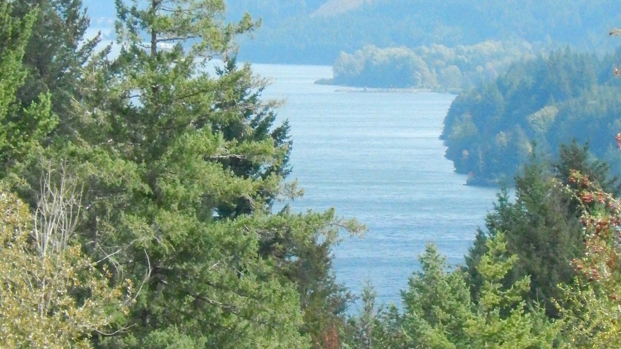 Photo of Others in Stevenson
