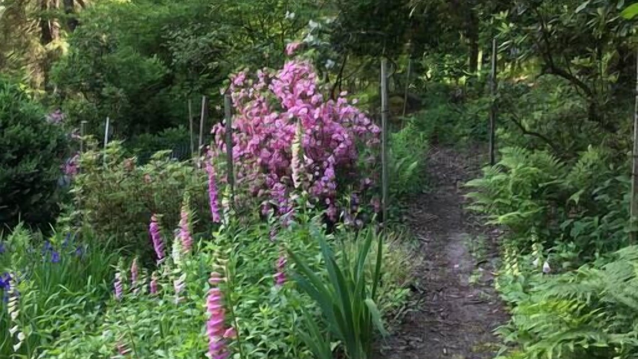 Photo of Outdoor in Trumansburg
