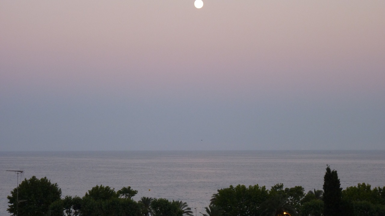 Photo of Others in Menton