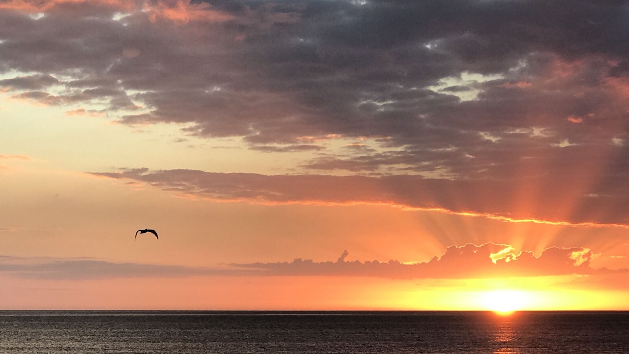 Photo of Others in Sanibel