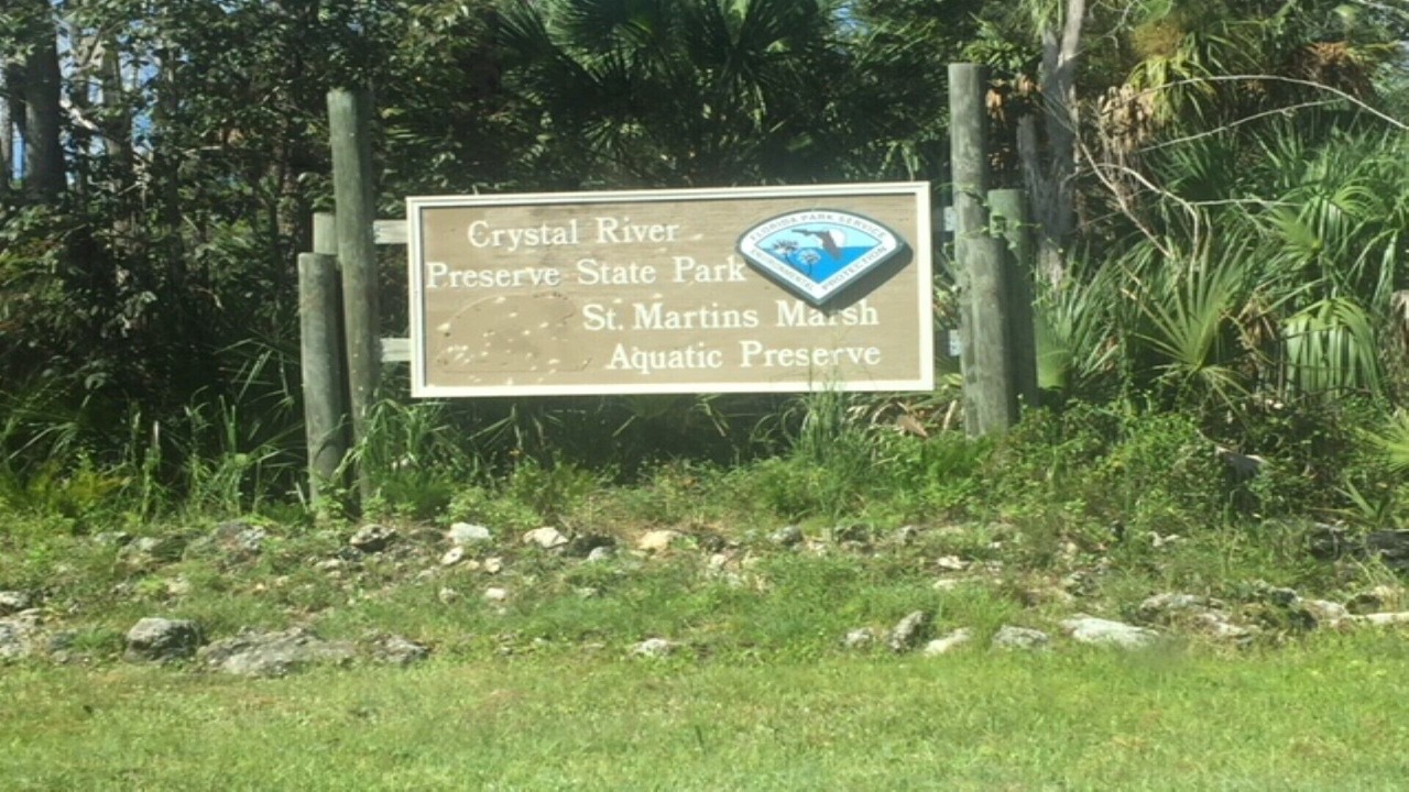 Photo of Others in Crystal River