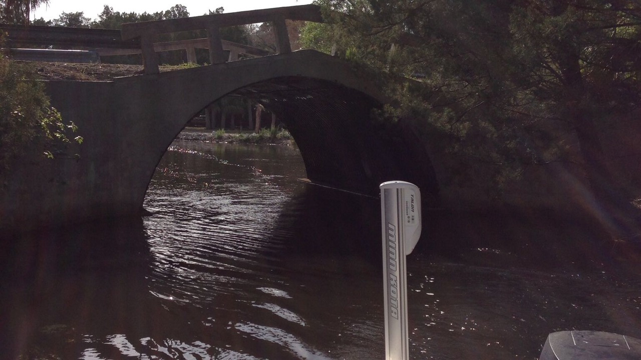 Photo of Others in Old Homosassa
