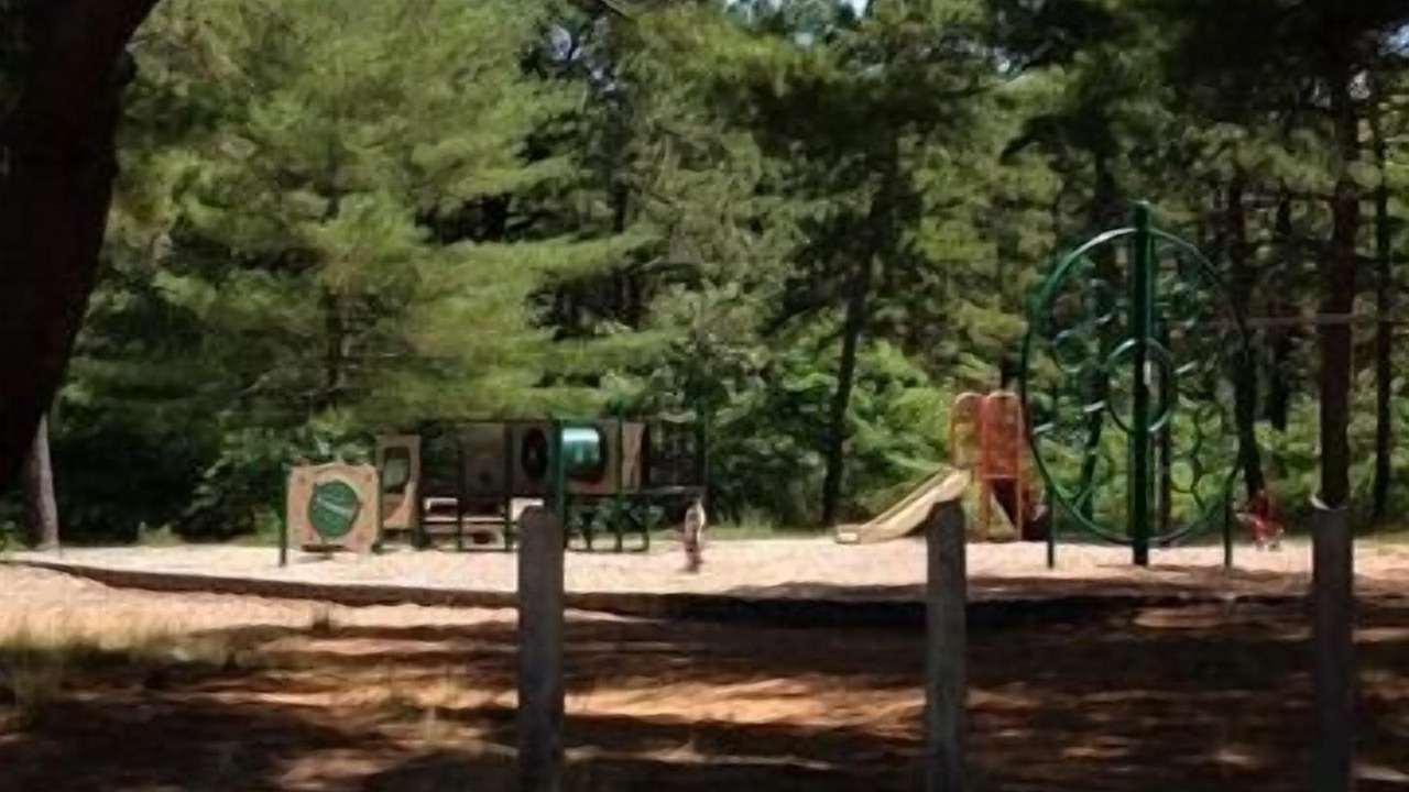 Photo of Others in South Yarmouth