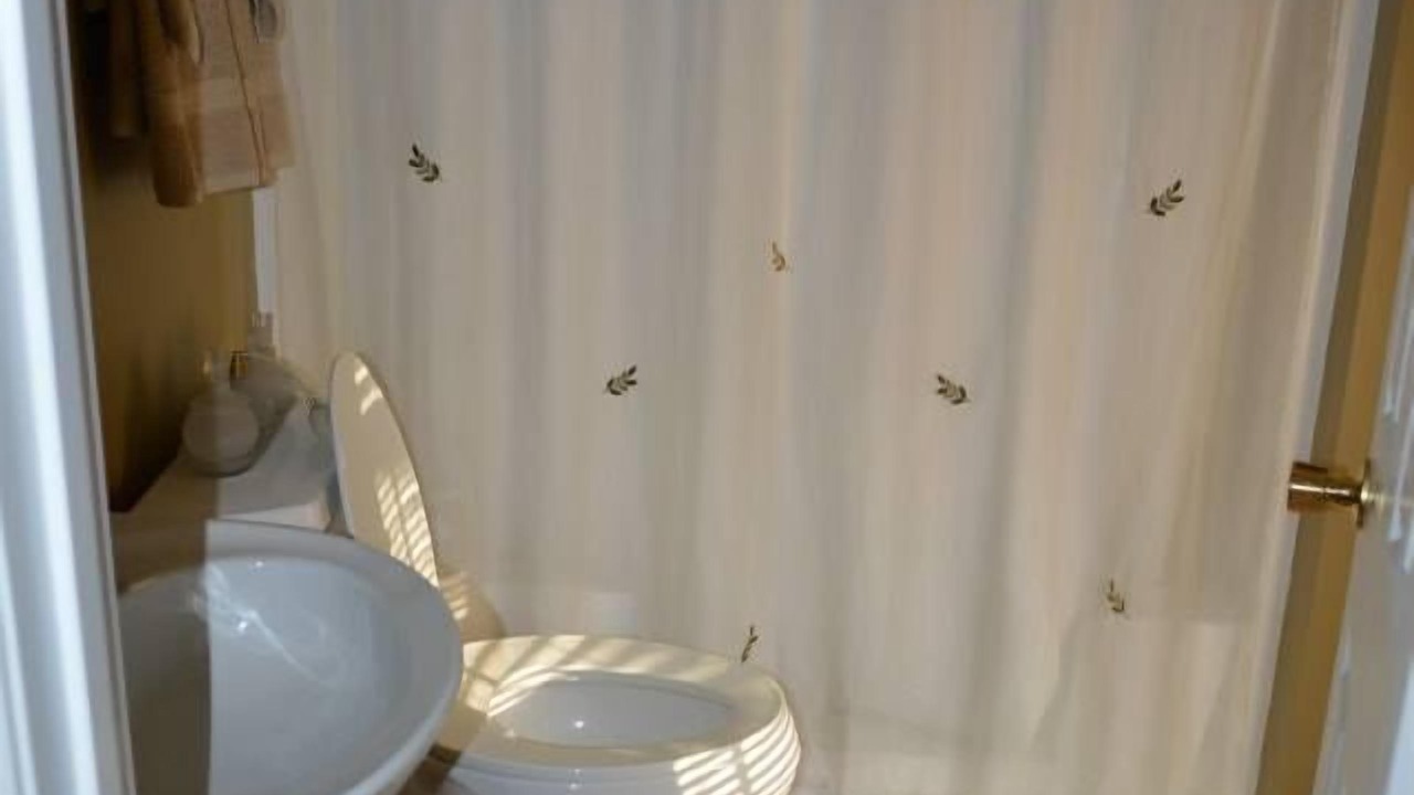 Photo of Bathroom in Buchanan
