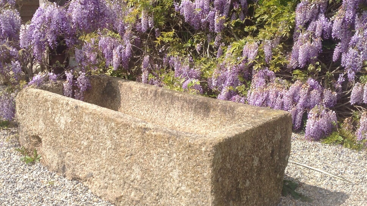Photo of Outdoor in Saint-Martin-des-Pres