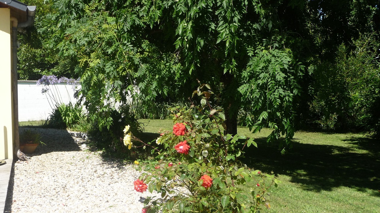 Photo of Outdoor in Ploubazlanec