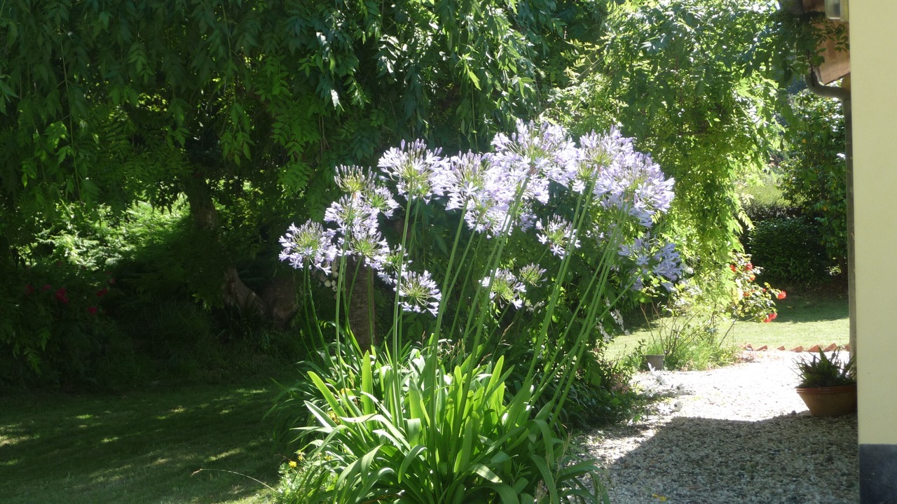 Photo of Outdoor in Ploubazlanec