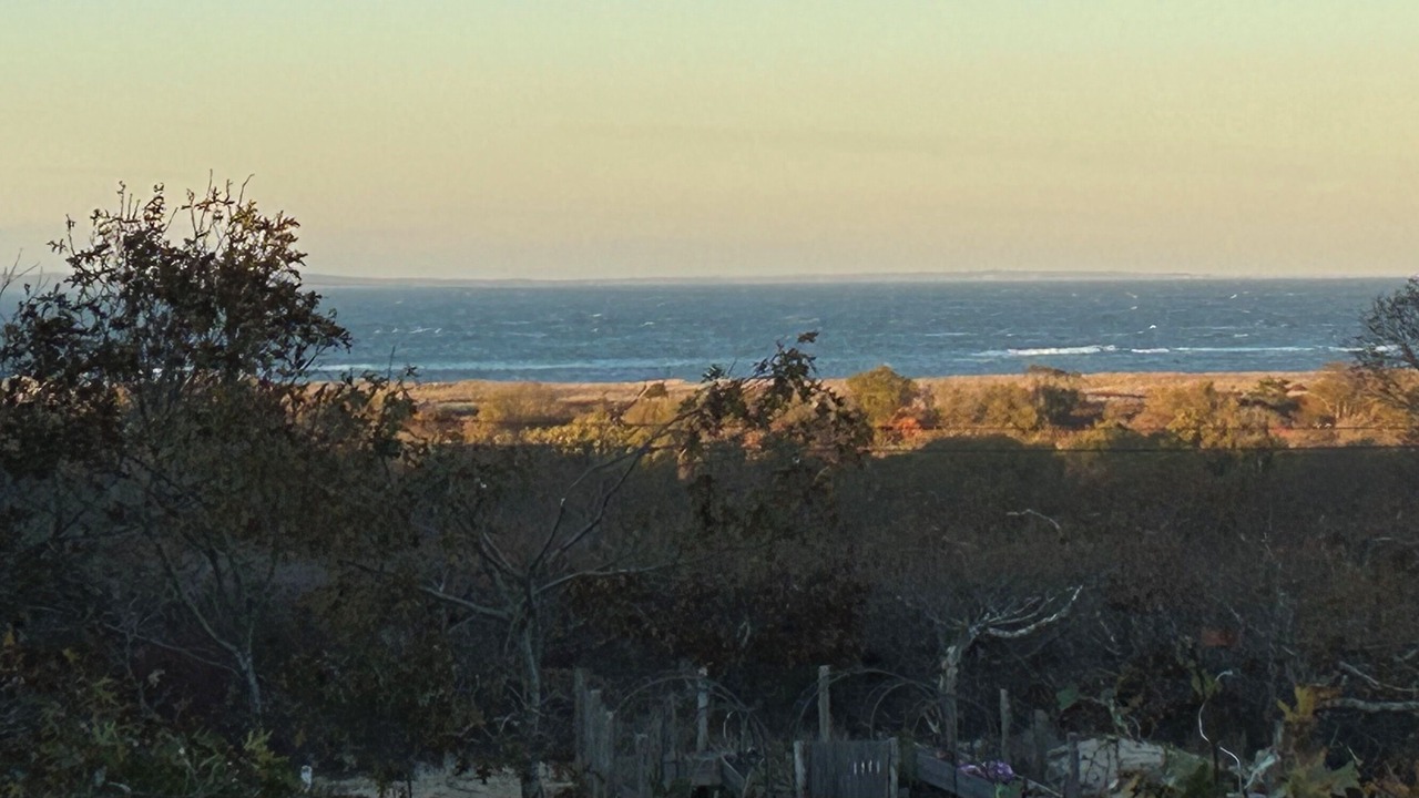 Photo of Others in Aquinnah