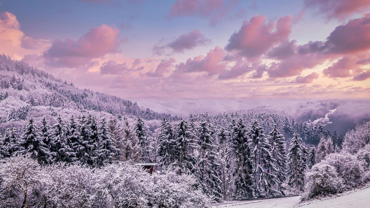Photo of Others in Snowshoe