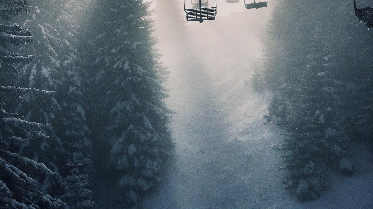 Photo of Others in Snowshoe