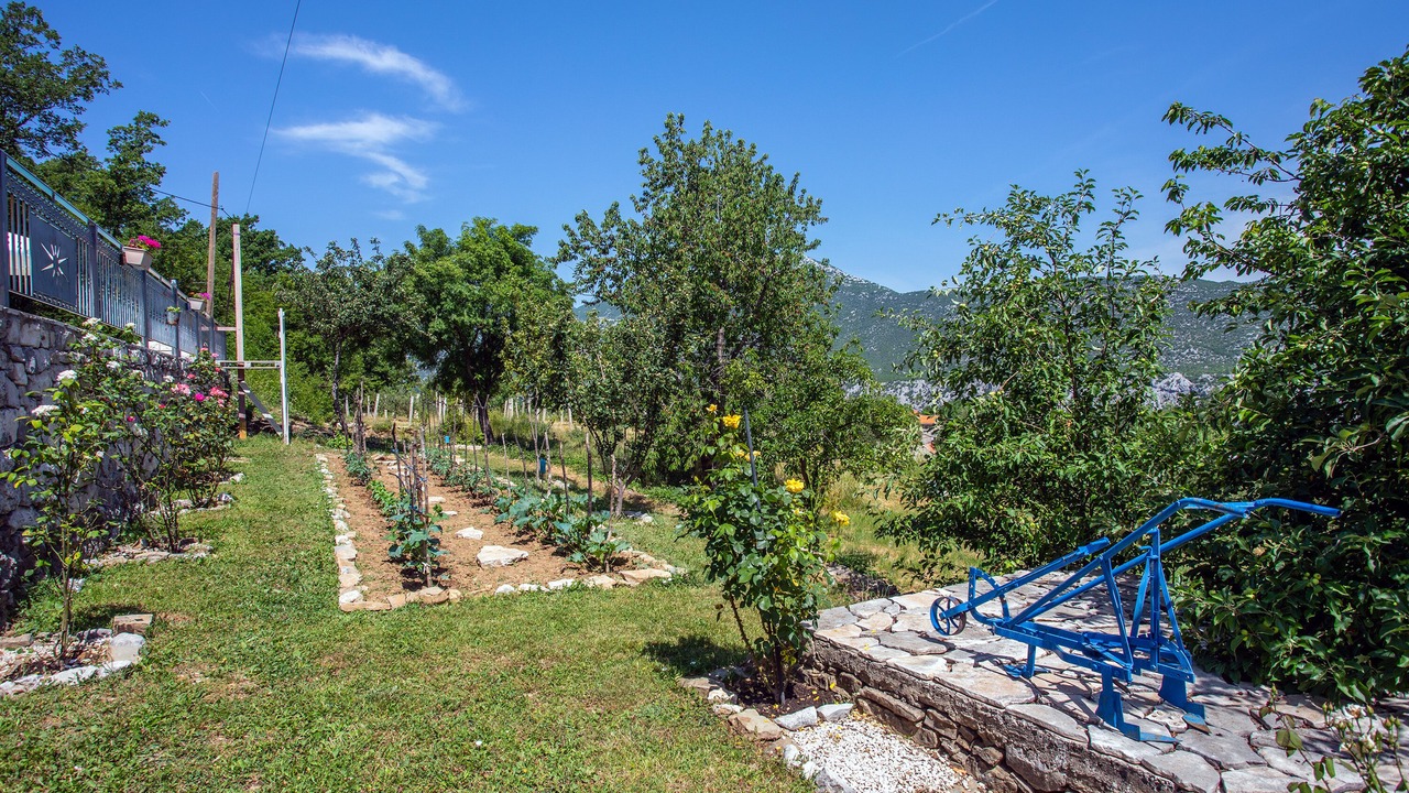 Photo of Outdoor in Kucice