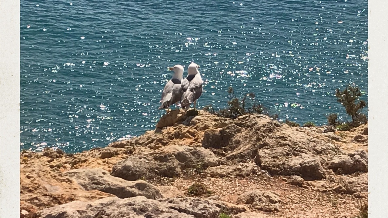 Photo of Others in Alporchinhos