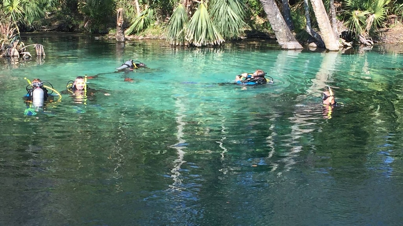 Photo of Outdoor in Dunnellon