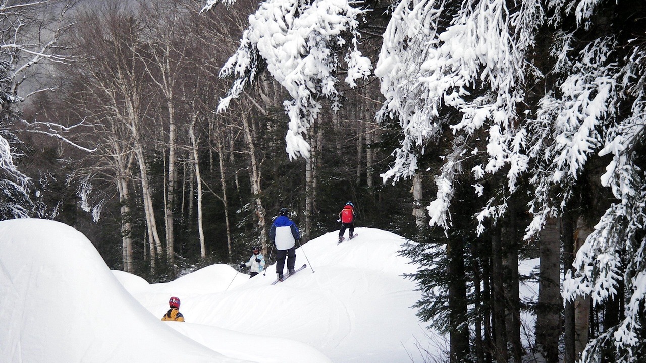 Photo of Others in The Glen