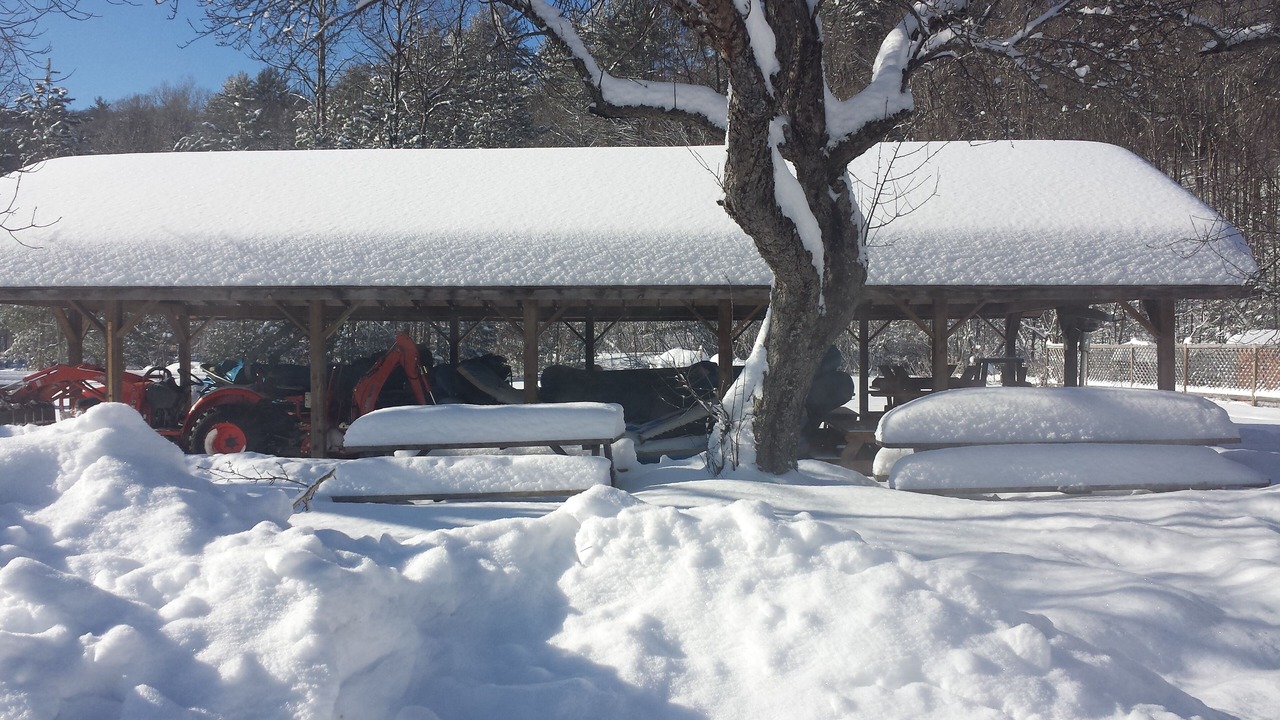 Photo of Outdoor in The Glen