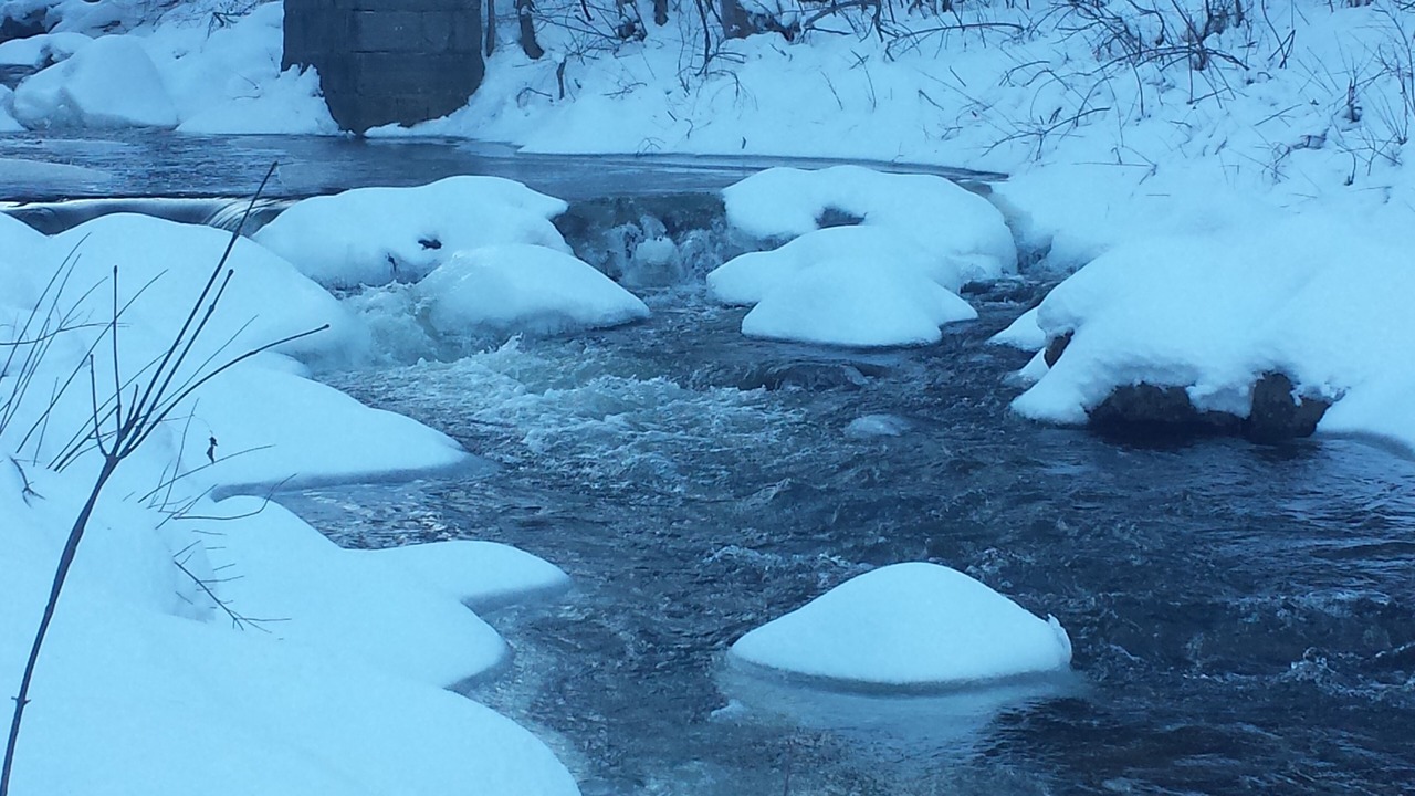 Photo of Outdoor in The Glen