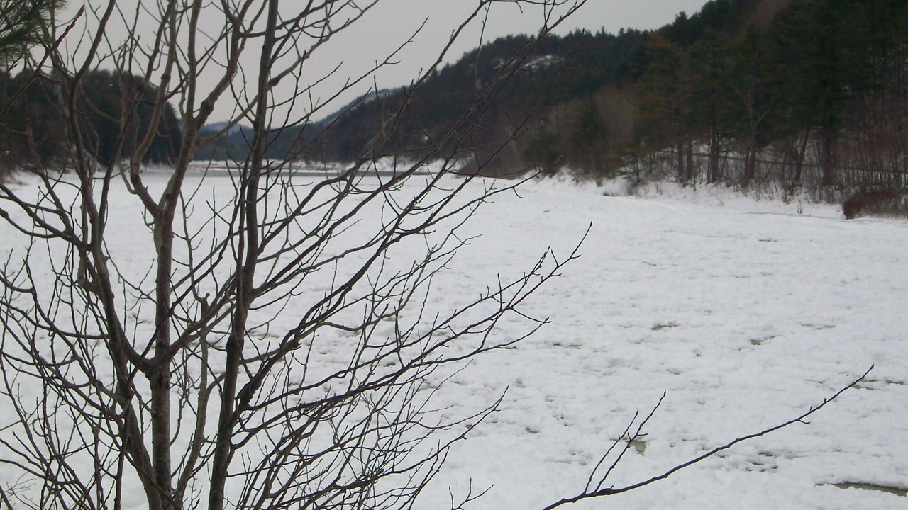 Photo of Outdoor in The Glen