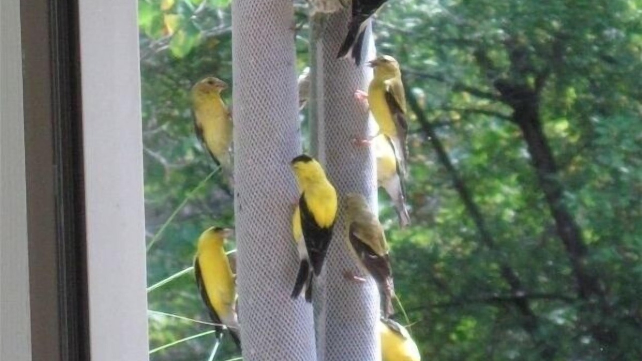 Photo of Others in Nashville