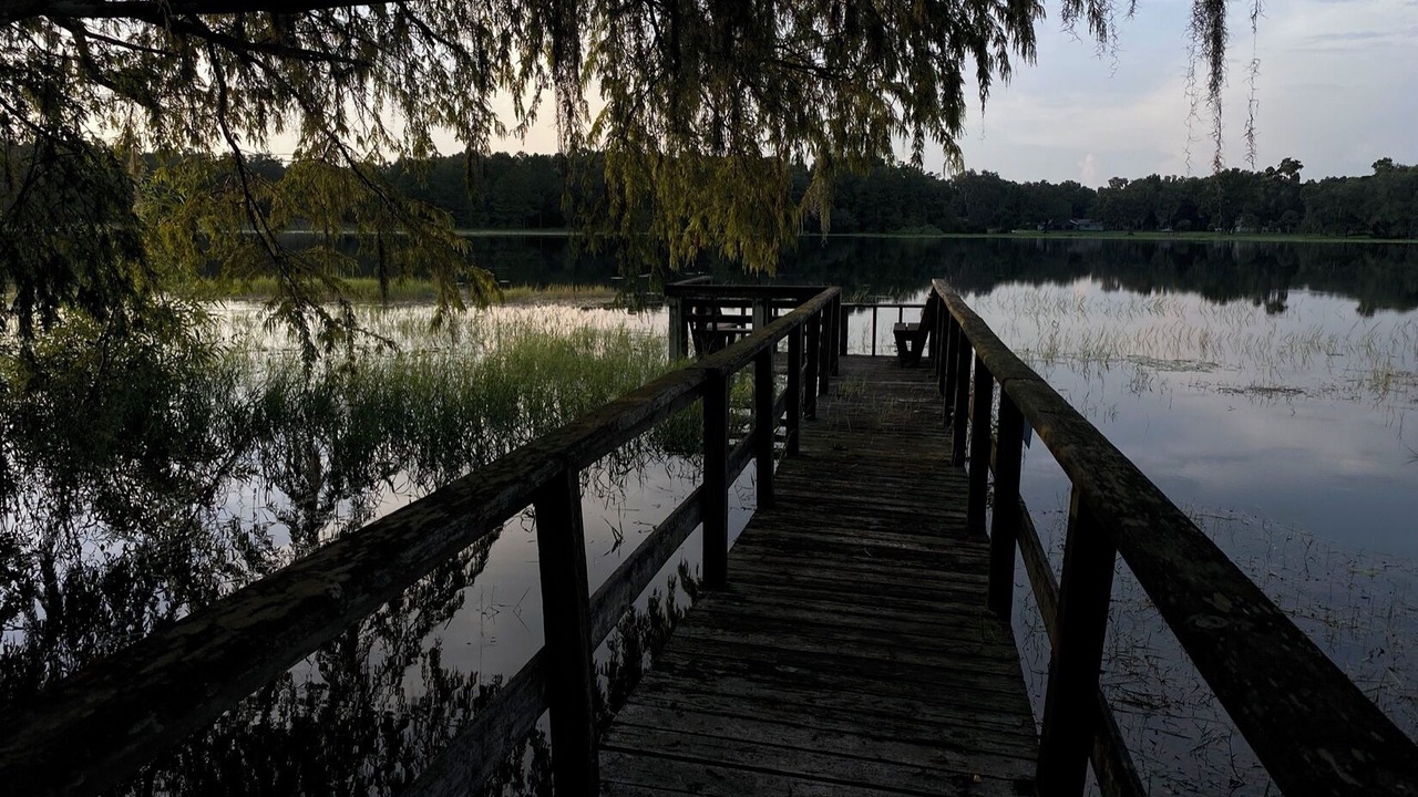 Photo of Outdoor in Floral City