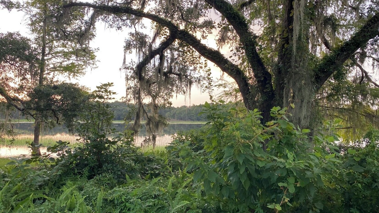 Photo of Outdoor in Floral City