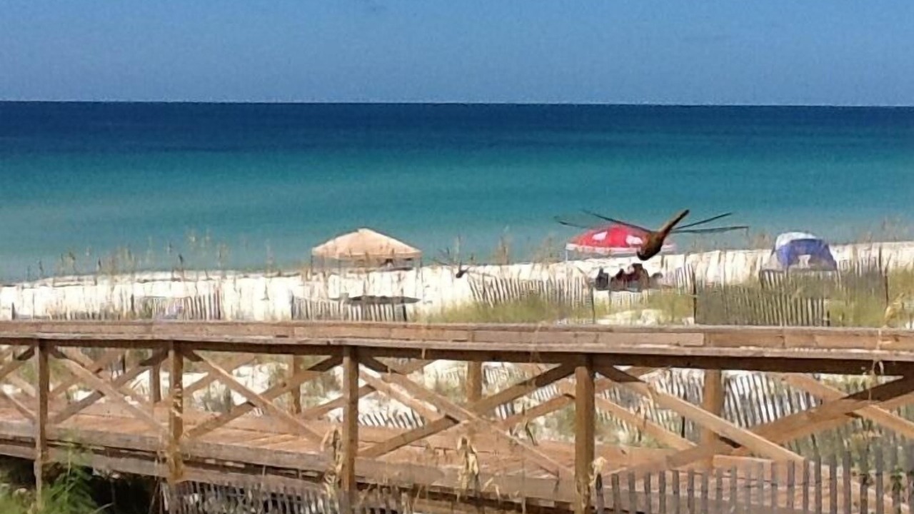 Photo of Outdoor in Port St. Joe