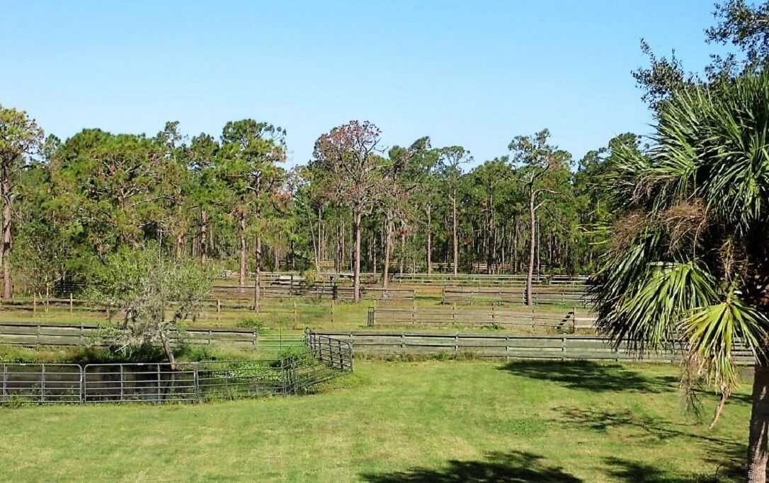 Photo of Others in Cocoa