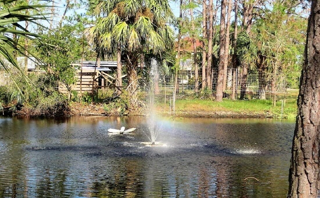 Photo of Others in Cocoa