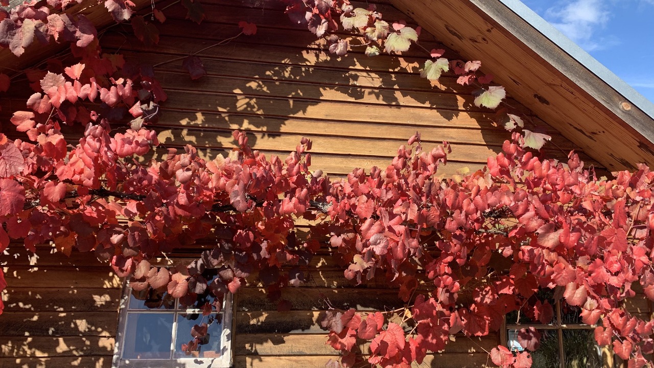 Photo of Outdoor in Wooragee