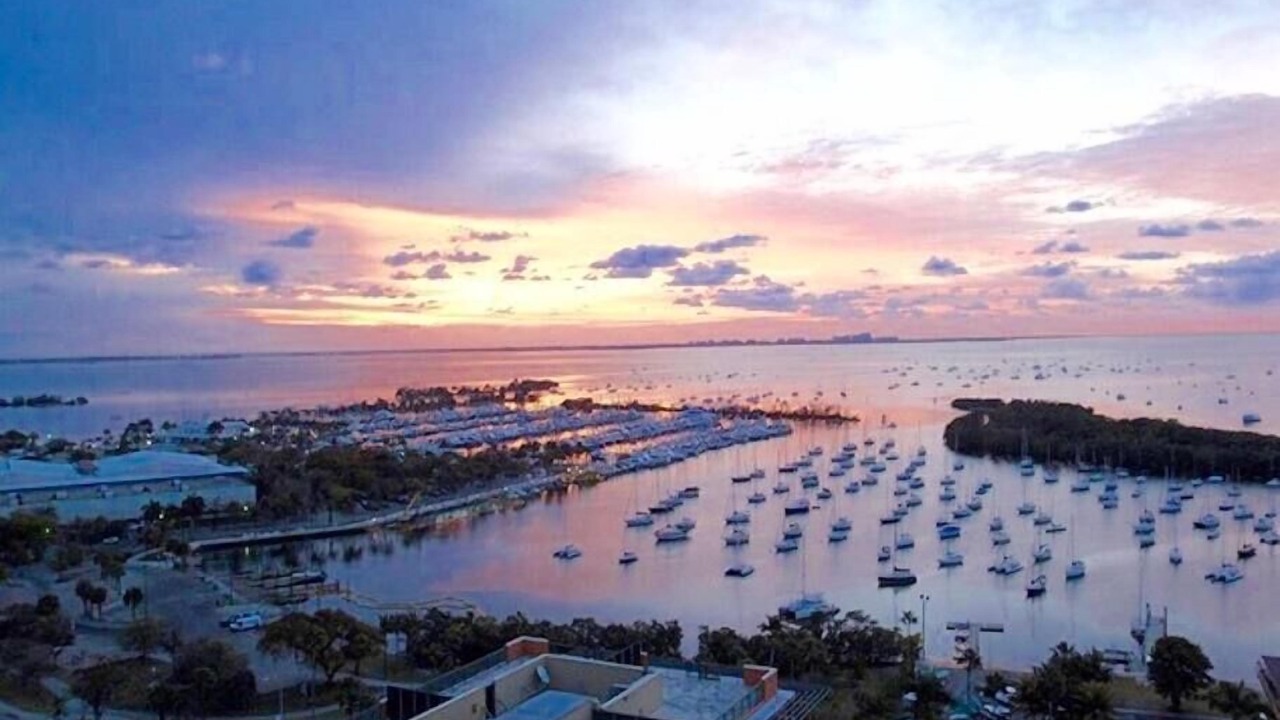 Photo of Others in Coconut Grove