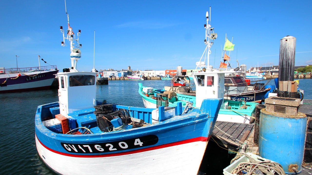 Photo of Others in Guilvinec