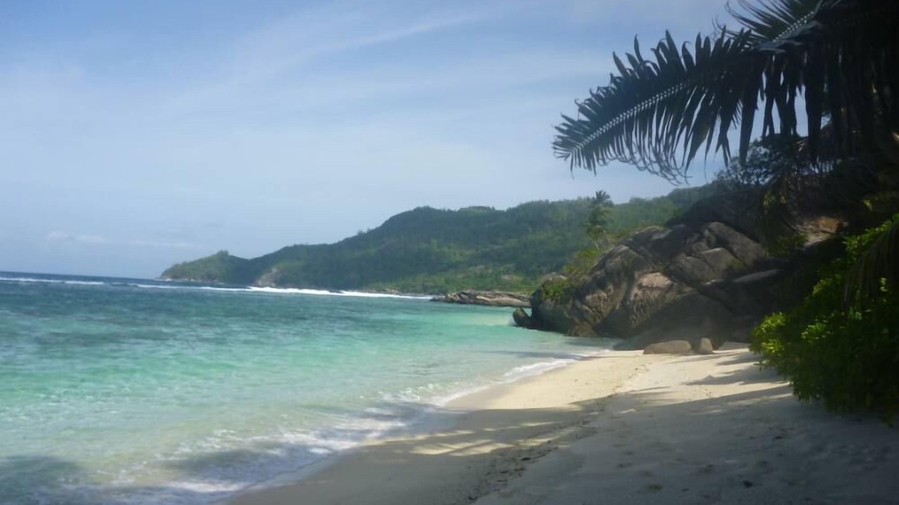Photo of Others in Anse Forbans