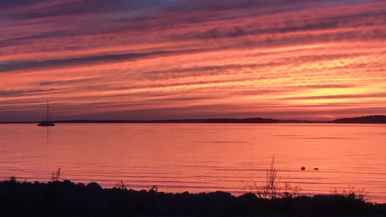 Photo of Others in Sag Harbor