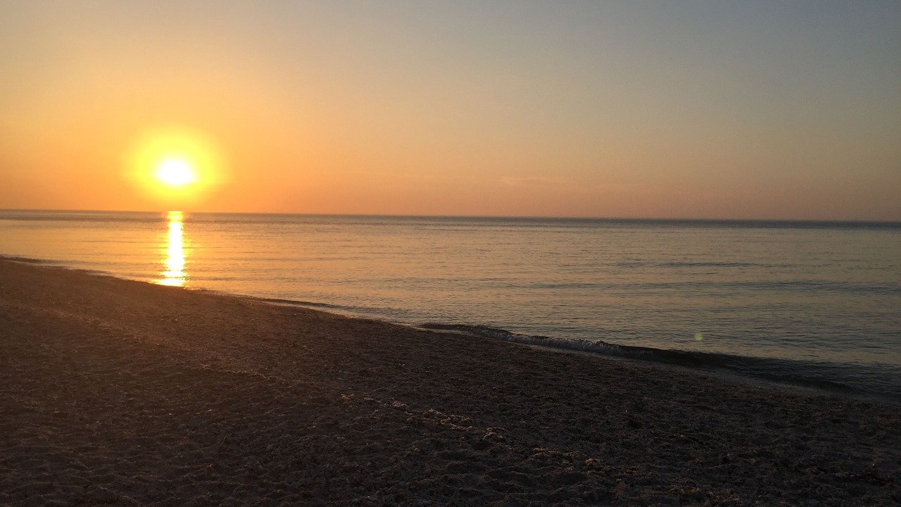 Photo of Others in Sag Harbor