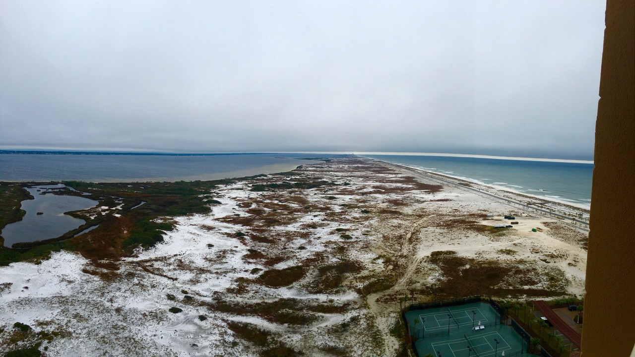 Photo of Others in Pensacola Beach